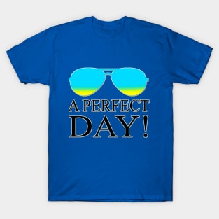 A PERFECT DAY T-Shirt